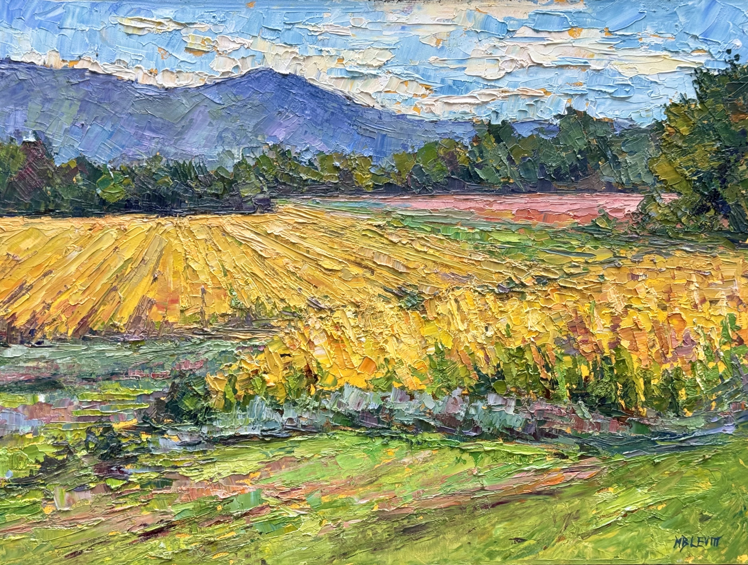 Golden Fields 12×16”