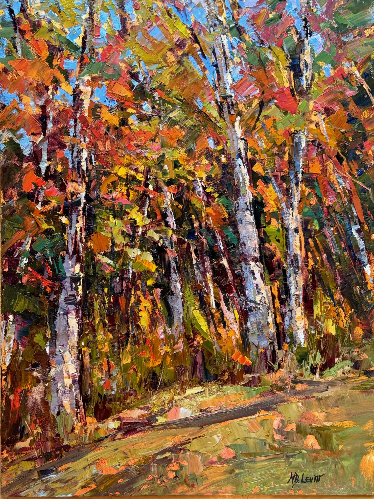 Fall Birches